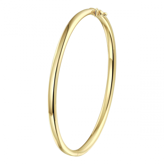 Bangle met scharnier, ovale buis 4,0 mm - 26361