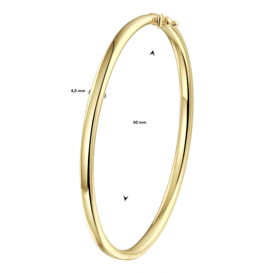 Bangle met scharnier, ovale buis 4,0 mm - 26361