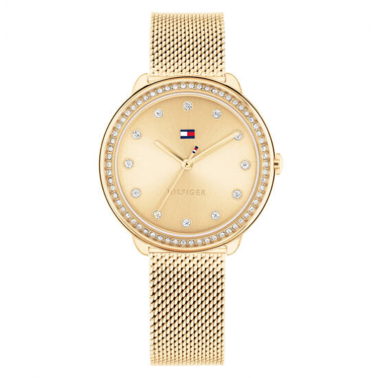 Tommy Hilfiger TH1782699 DEMI Dames Horloge - 26413